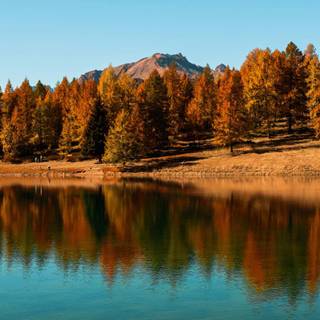 iPhone lake wallpaper