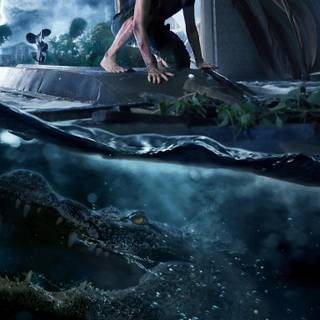 Cinema phone wallpaper