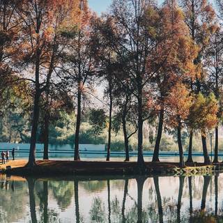 iPhone lake wallpaper