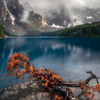 iPhone lake wallpaper