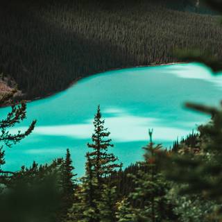 iPhone lake wallpaper