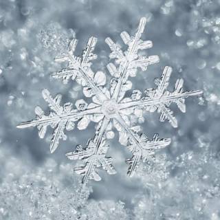 Snowflake iPhone wallpaper