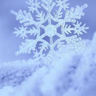 Snowflake iPhone wallpaper
