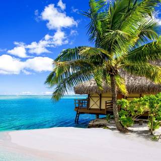 Tropical sea wallpaper