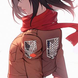 Mikasa iPhone 4k wallpaper