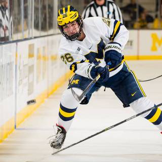 Michigan hockey wallpaper