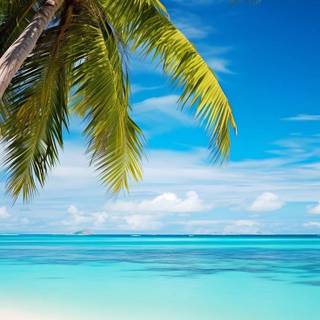 Caribbean iPhone wallpaper