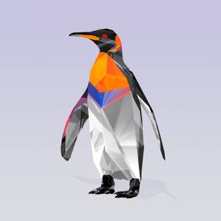 4k penguin wallpaper