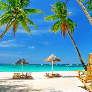 Beach with palm trees wallpaper