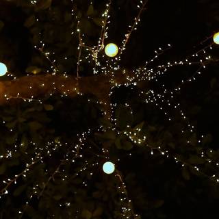 The Very First Night Taylor Swift wallpaper