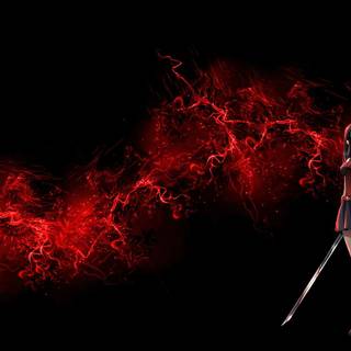Akame Ga Kill PC wallpaper