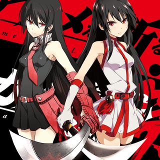 Akame Ga Kill PC wallpaper