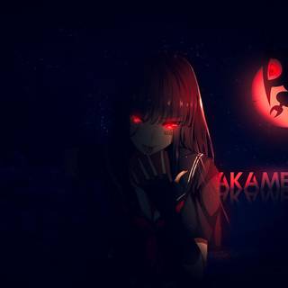 Akame Ga Kill PC wallpaper