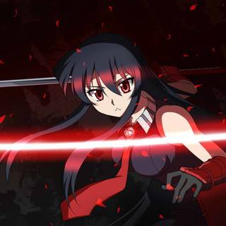 Akame Ga Kill PC wallpaper