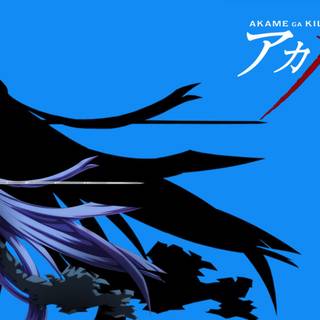 Akame Ga Kill PC wallpaper