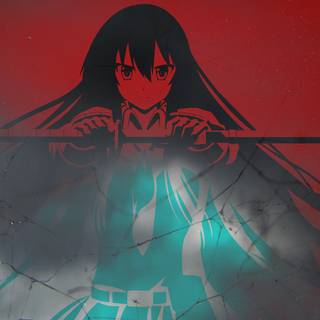 Akame Ga Kill PC wallpaper