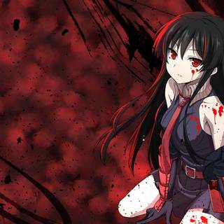 Akame Ga Kill PC wallpaper