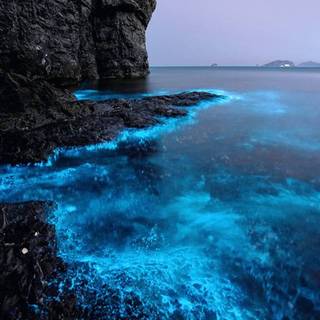 Glowing ocean wallpaper