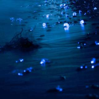 Glowing ocean wallpaper