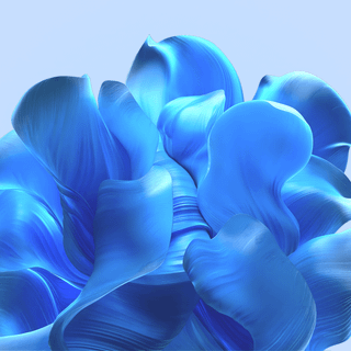 Windows 11 Bloom wallpaper