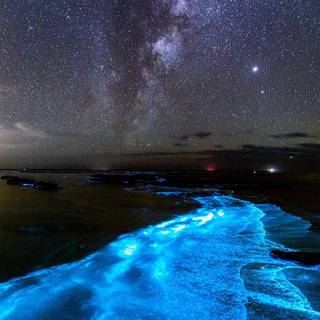 Glowing ocean wallpaper