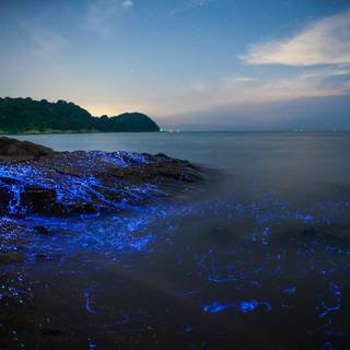 Glowing ocean wallpaper