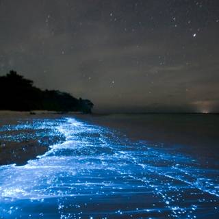 Glowing ocean wallpaper