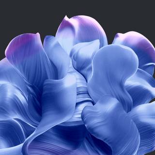 Windows 11 Bloom wallpaper