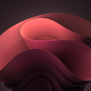 Windows 11 Bloom wallpaper