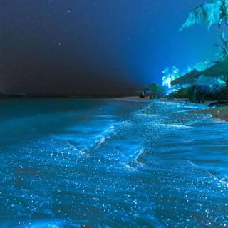 Glowing ocean wallpaper
