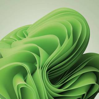 Windows 11 Bloom wallpaper