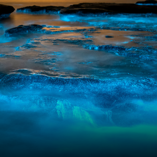 Glowing ocean wallpaper