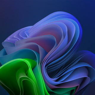 Windows 11 Bloom wallpaper