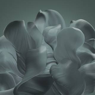 Windows 11 Bloom wallpaper