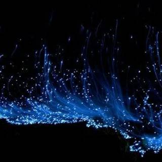 Glowing ocean wallpaper