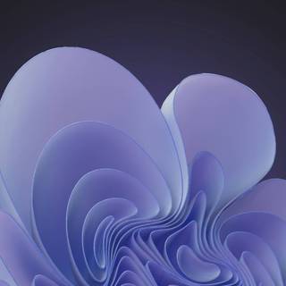 Windows 11 Bloom wallpaper