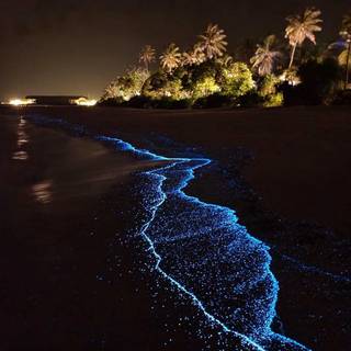 Glowing ocean wallpaper