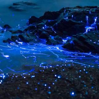 Glowing ocean wallpaper