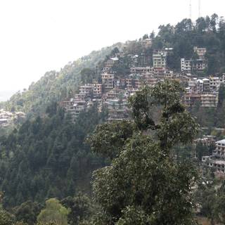 McLeodganj wallpaper