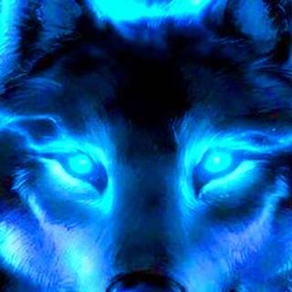 Glow wolf wallpaper