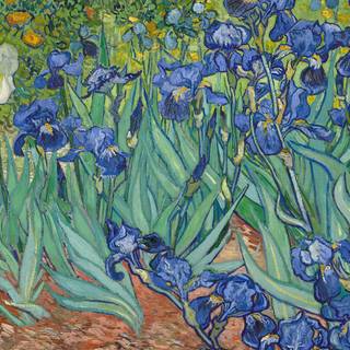 Van Gogh paintings wallpaper