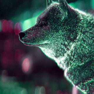 Glow wolf wallpaper