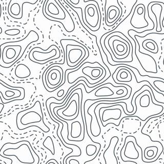 White topographic wallpaper