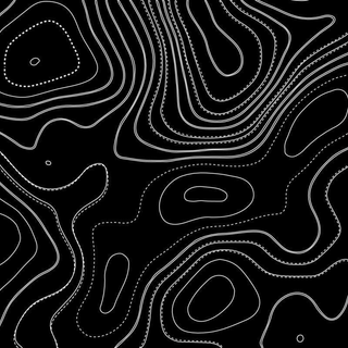 White and black topo wallpaper