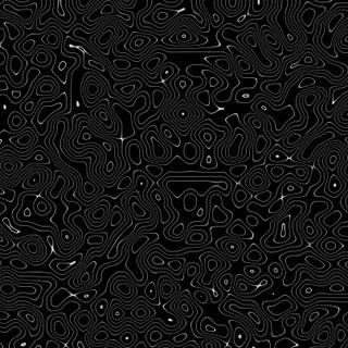 White and black topo wallpaper