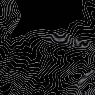 White topographic wallpaper