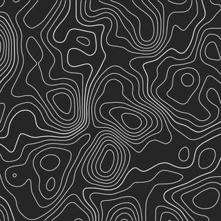 White and black topo wallpaper
