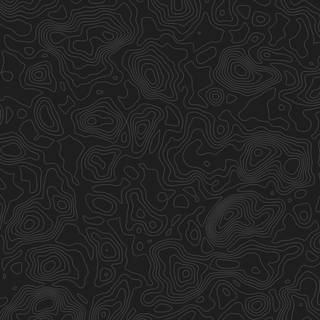 Black topographic wallpaper
