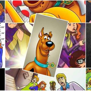 2024 Scooby-Doo wallpaper