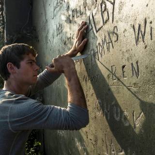 Thomas Brodie Sangster aesthetic laptop wallpaper